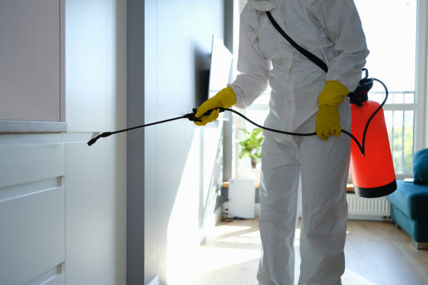 Best Mold Removal and Inspection  in Cade, LA